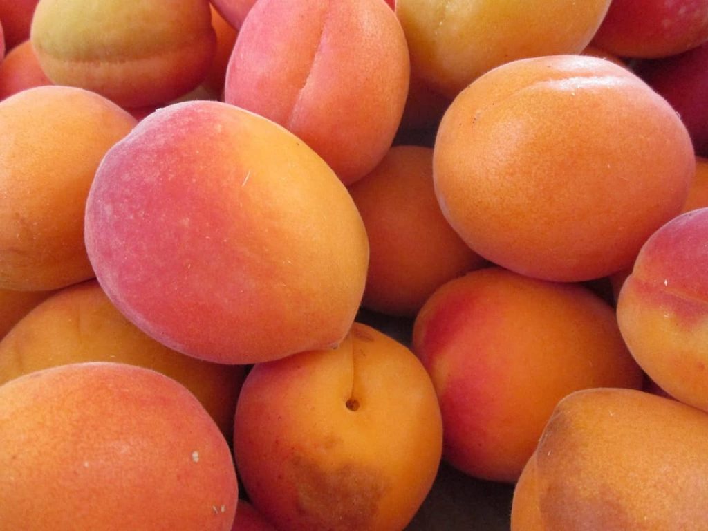 apricot, Foods that start with A