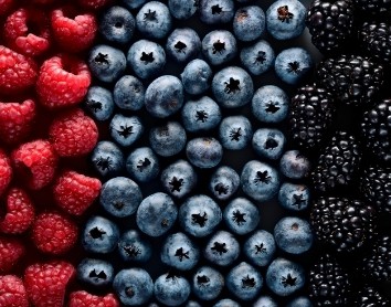 which berries can be juiced