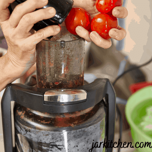electric tomato juicer